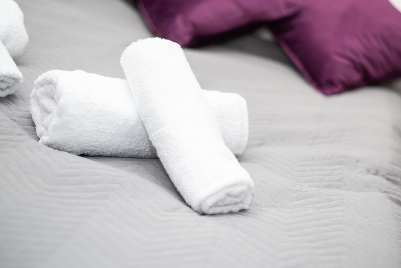 WhatsApp Image 2026-02-10 at 4.36.42 PM (10)