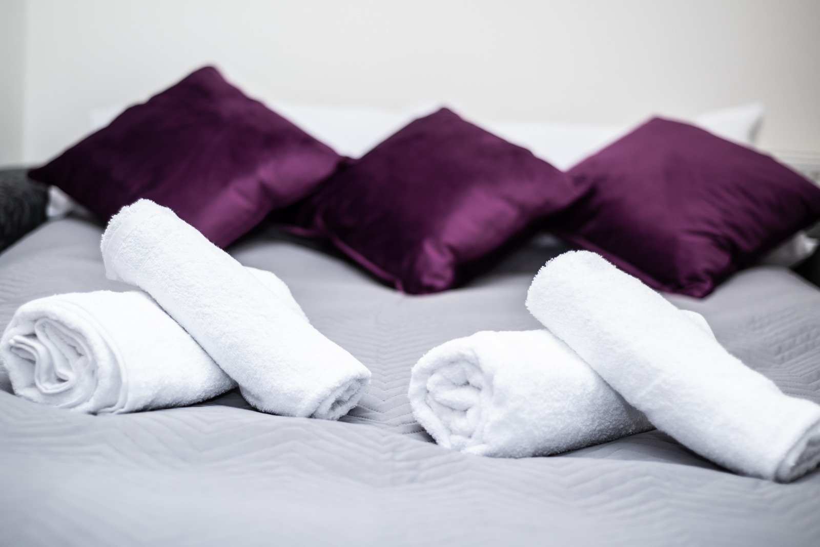 WhatsApp Image 2026-02-10 at 4.36.42 PM (2)