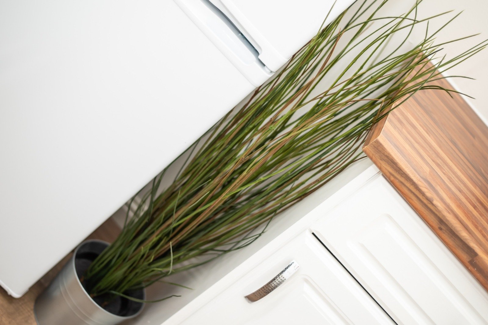 WhatsApp Image 2026-02-10 at 4.36.42 PM (8)